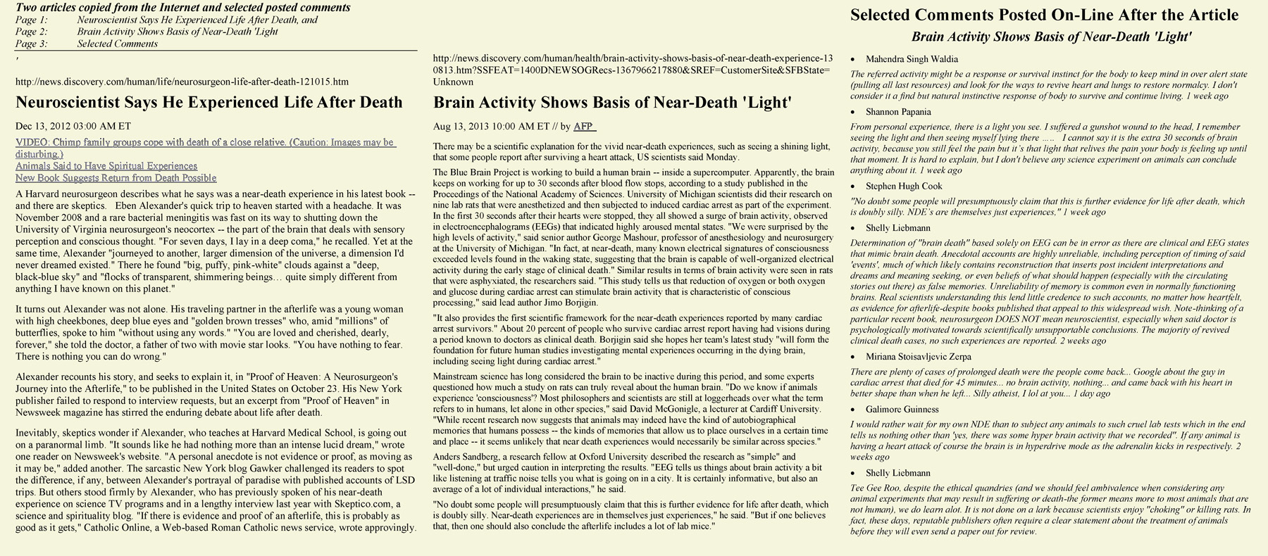 Near Death Articles