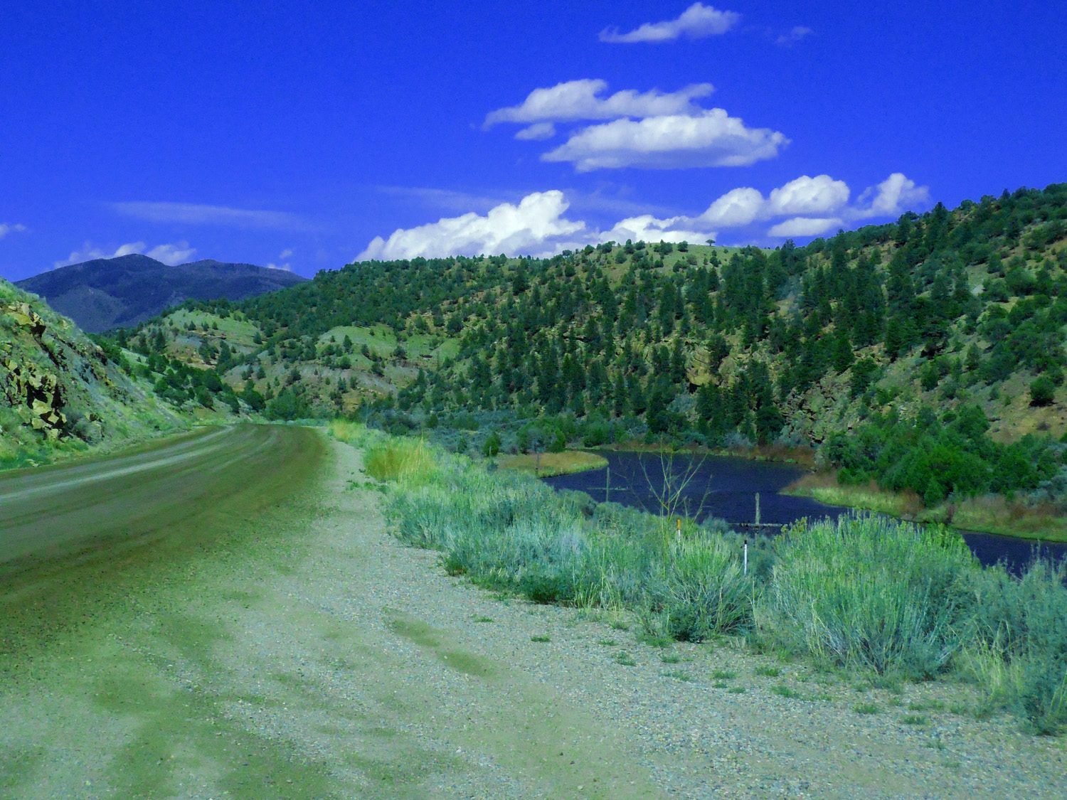 Colorado River Road