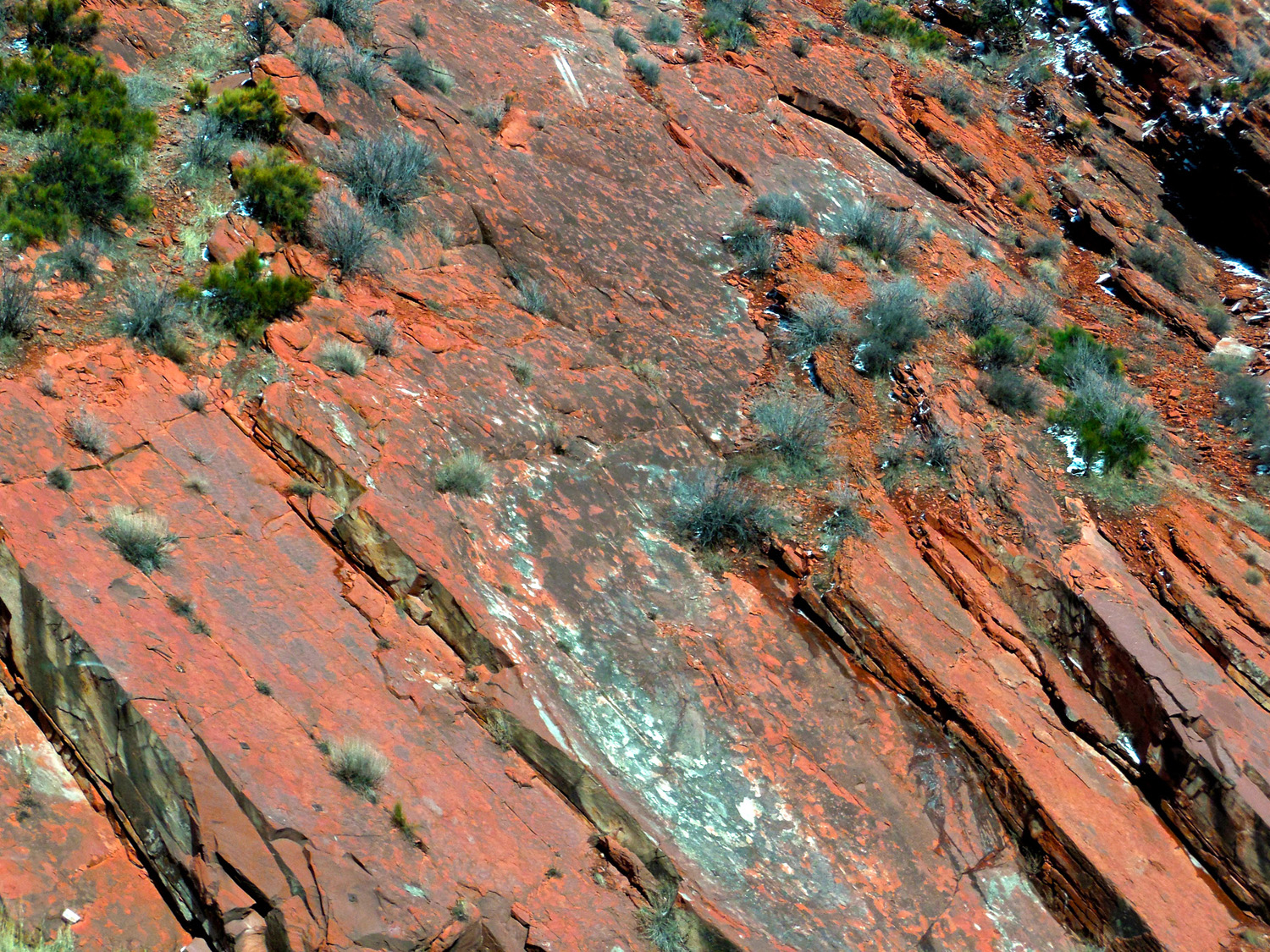 Triassic Red Beds