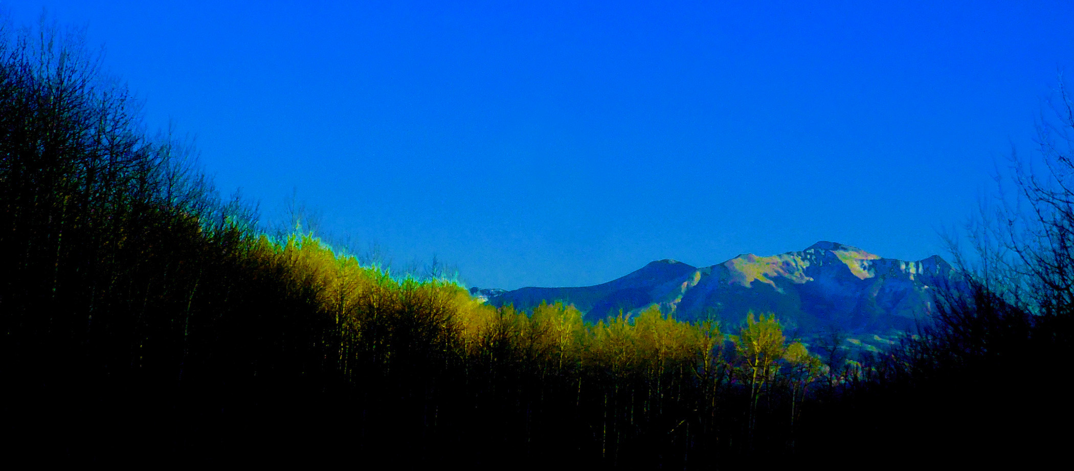 Mt. Lamborn