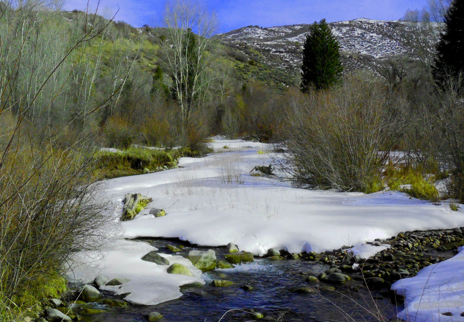 Snowmass Creek