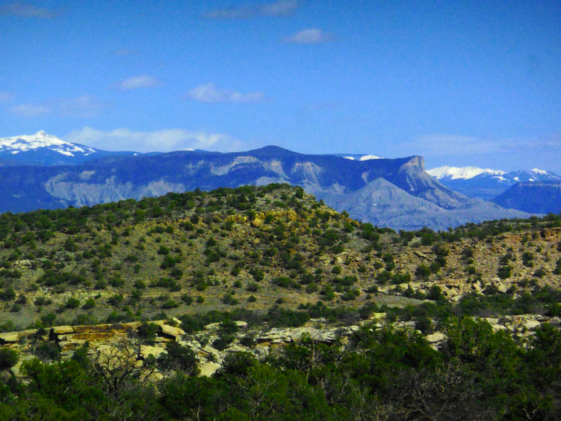 Mesa Verde Cliffs
