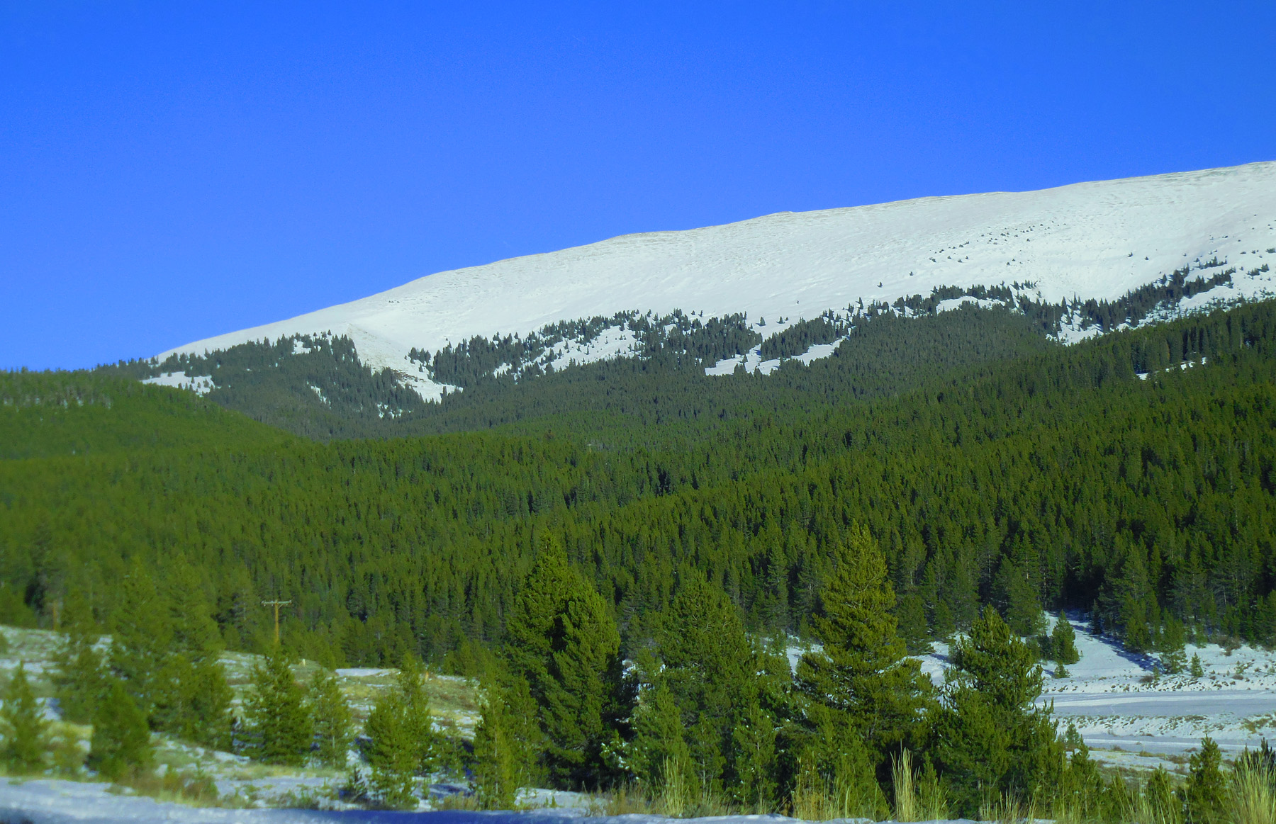 Snowy Mountain