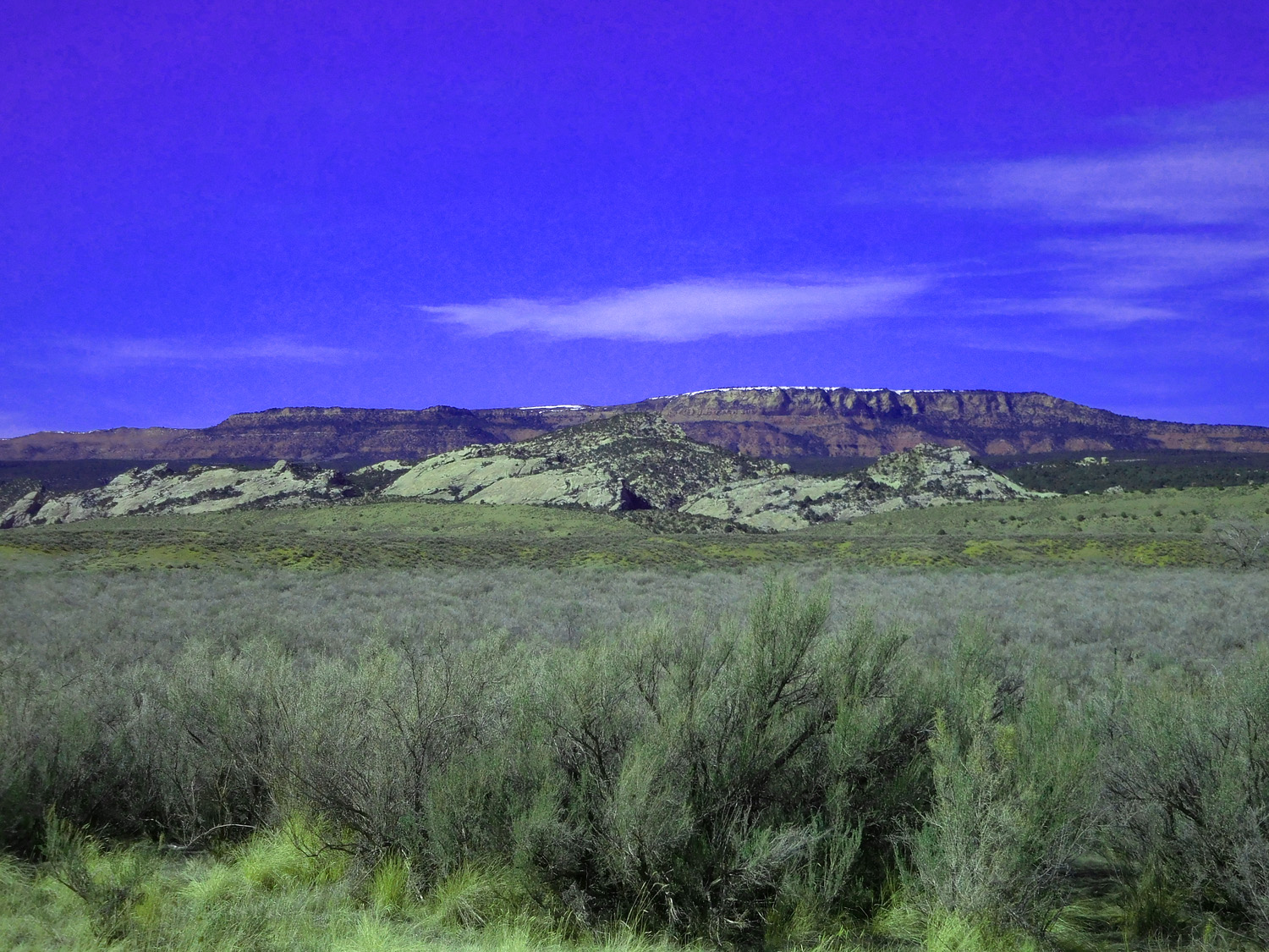 Mesa Verde Hogbacks